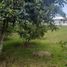  Terreno (Parcela) en venta en Tumbaco, Pichincha, Tumbaco