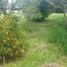  Terreno (Parcela) en venta en Tumbaco, Pichincha, Tumbaco