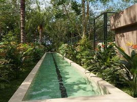  Grundstück zu verkaufen in Cozumel, Quintana Roo, Cozumel