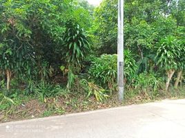  Land for sale in Serpong, Banten, Serpong