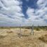  Terreno (Parcela) en venta en Piura, Piura, Castilla, Piura