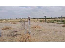  Terreno (Parcela) en venta en Piura, Piura, Castilla, Piura