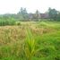  Terrain for sale in Sukawati, Gianyar, Sukawati