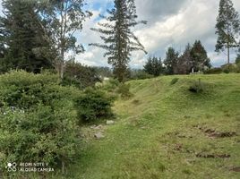  Land for sale in Alangasi, Pichincha, Alangasi