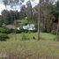  Land for sale in Alangasi, Pichincha, Alangasi