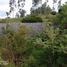  Land for sale in Alangasi, Pichincha, Alangasi
