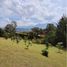  Terrain for sale in El Carmen De Viboral, Antioquia, El Carmen De Viboral