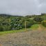  Terrain for sale in Valle Del Cauca, La Cumbre, Valle Del Cauca