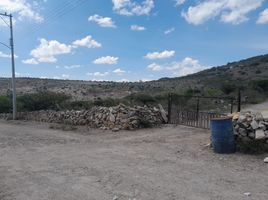  Terrain for rent in San Jose Iturbide, Guanajuato, San Jose Iturbide