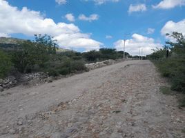  Grundstück zu vermieten in San Jose Iturbide, Guanajuato, San Jose Iturbide