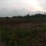  Land for sale in Labu, Selangor, Labu