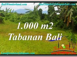  Land for sale in Selemadeg, Tabanan, Selemadeg