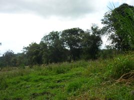  Terrain for sale in Bocas Del Toro, Guabito, Changuinola, Bocas Del Toro