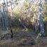 Terreno (Parcela) en venta en Dist Pochutla, Oaxaca, Dist Pochutla