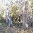  Terreno (Parcela) en venta en Dist Pochutla, Oaxaca, Dist Pochutla