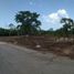 Terrain à vendre à Conkal, Yucatan, Conkal, Yucatan