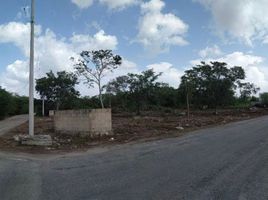 Terrain à vendre à Conkal, Yucatan, Conkal, Yucatan