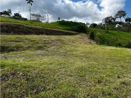  Land for sale in Pereira, Risaralda, Pereira