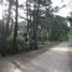  Land for sale in Villa Gesell, Buenos Aires, Villa Gesell