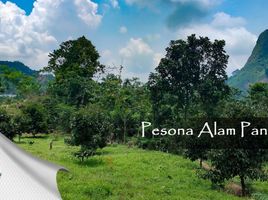  Land for sale in Bogor Selatan, Bogor, Bogor Selatan