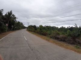  Land for sale in Dauis, Bohol, Dauis