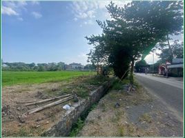  Land for sale in Prambanan, Klaten, Prambanan