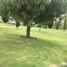  Land for sale in Zapopan, Jalisco, Zapopan, Jalisco