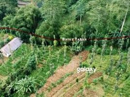  Land for sale in Baturiti, Tabanan, Baturiti