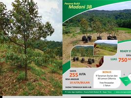  Land for sale in Bogor Selatan, Bogor, Bogor Selatan