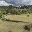  Grundstück zu verkaufen in Guarne, Antioquia, Guarne