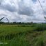  Terreno (Parcela) en venta en Sleman, Yogyakarta, Sleman, Sleman