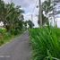  Terreno (Parcela) en venta en Sleman, Yogyakarta, Sleman, Sleman