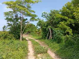  Grundstück zu verkaufen in Dist Pochutla, Oaxaca, Dist Pochutla