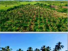  Terreno (Parcela) en venta en Dist Pochutla, Oaxaca, Dist Pochutla