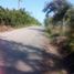  Land for sale in Cazones De Herrera, Veracruz, Cazones De Herrera