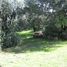  Terreno (Parcela) en venta en Chile, San Jode de Maipo, Cordillera, Santiago, Chile