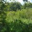  Land for sale in Hopelchen, Campeche, Hopelchen