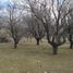  Land for sale in Tiltil, Santiago, Tiltil