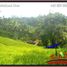  Land for sale in Gianyar Bali, Tegallalang