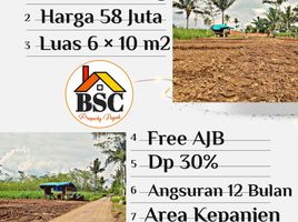  Land for sale in Kepanjen, Malang Regency, Kepanjen