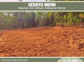  Land for sale in Bantul, Yogyakarta, Sedayu, Bantul