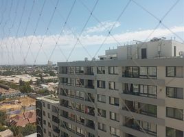 2 Habitación Apartamento en venta en San Jode de Maipo, Cordillera, San Jode de Maipo