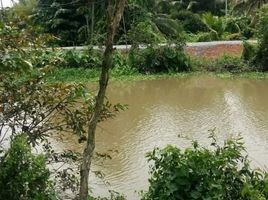  Grundstück zu verkaufen in Thuan An, Binh Duong, Lai Thieu