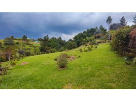 Terrain à vendre à Retiro, Antioquia, Retiro