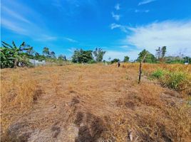  Terreno (Parcela) en venta en Chiriquí, Bugaba, Bugaba, Chiriquí