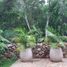 3 Bedroom Condo for sale in Valladolid, Yucatan, Valladolid
