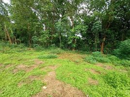  Land for sale in South Sulawesi, Bantimurung, Maros, South Sulawesi