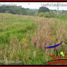  Land for sale in Selemadeg, Tabanan, Selemadeg