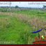  Land for sale in Selemadeg, Tabanan, Selemadeg