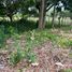  Land for sale in Centro, Tabasco, Centro, Tabasco